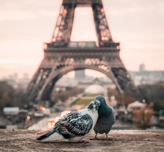 paris